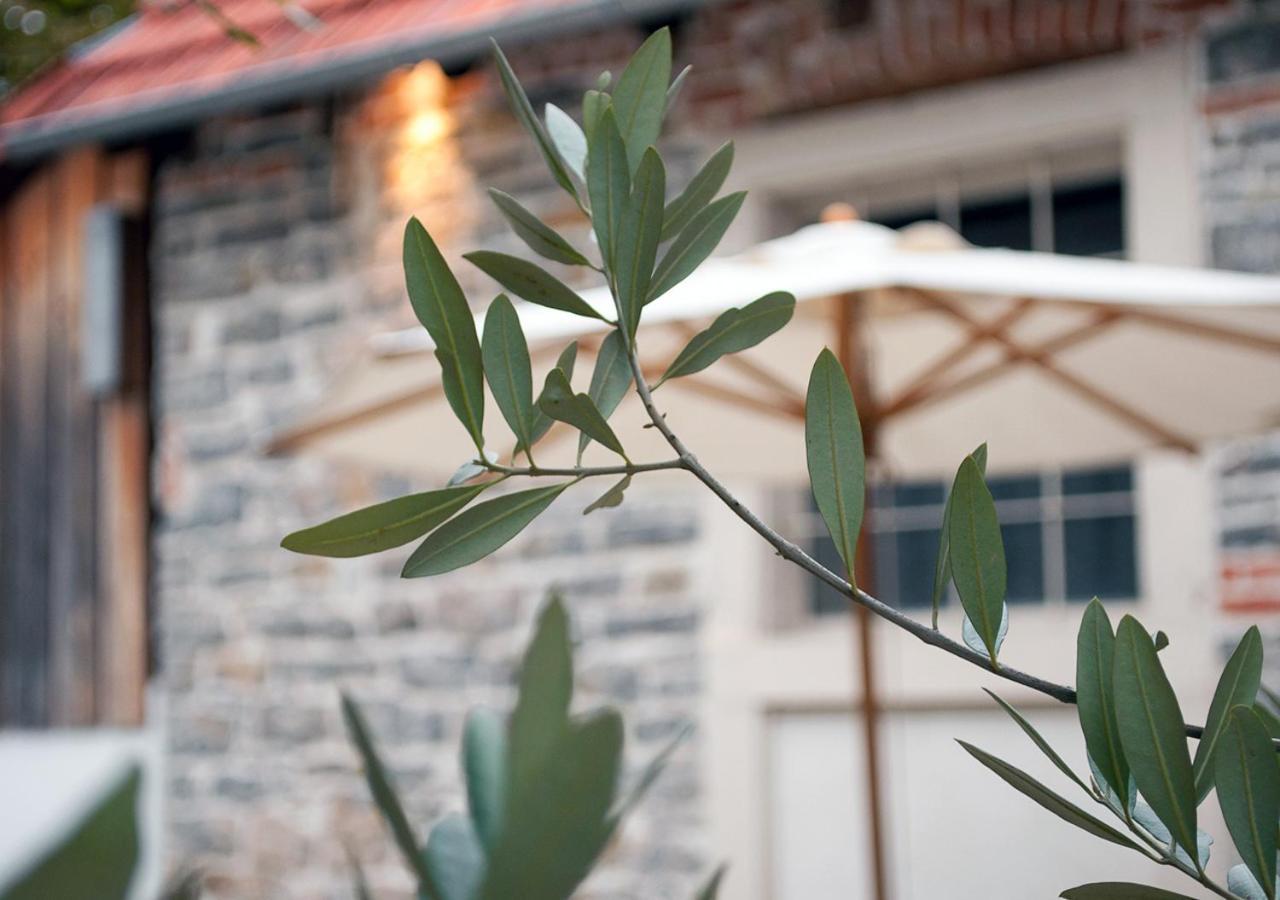 Der Gruene Baum Hotel Sinsheim Exterior photo