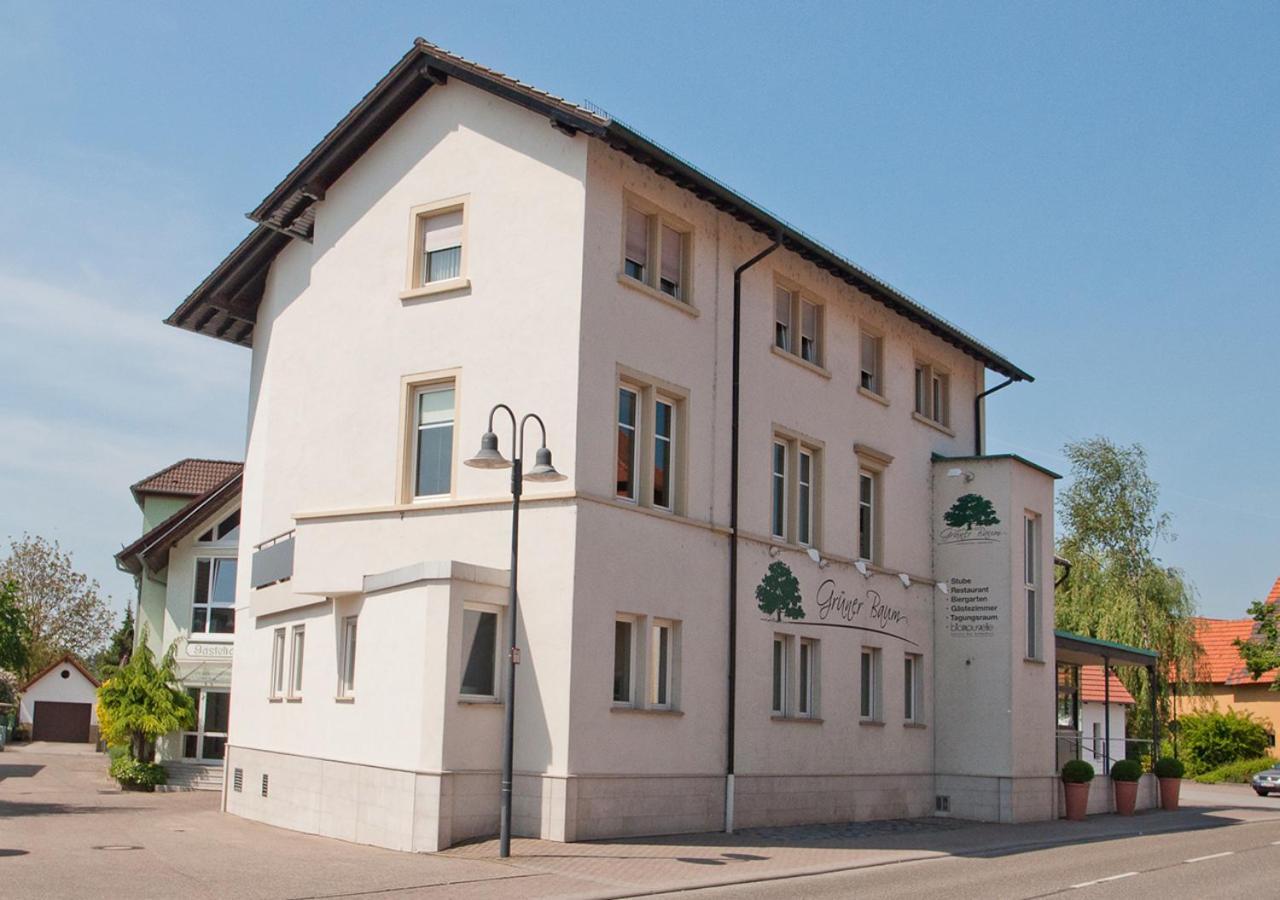 Der Gruene Baum Hotel Sinsheim Exterior photo